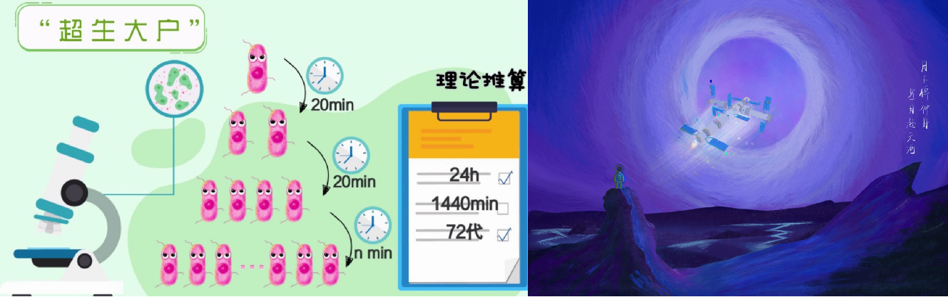 图片2作品一览.png