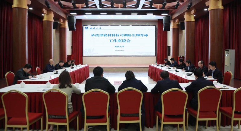 全景.jpg